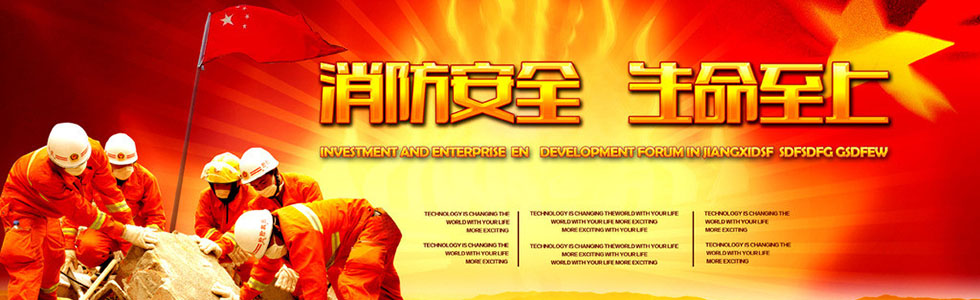 ������ȫ������������